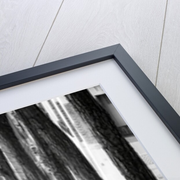 Staircase in Montmartre, Paris by Assaf Frank